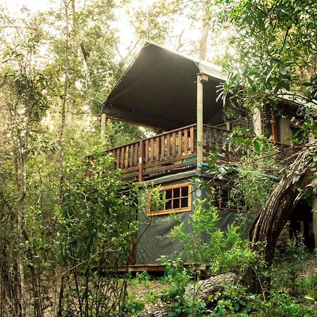 Fernhill Tented Treehouses Rheenendal ภายนอก รูปภาพ
