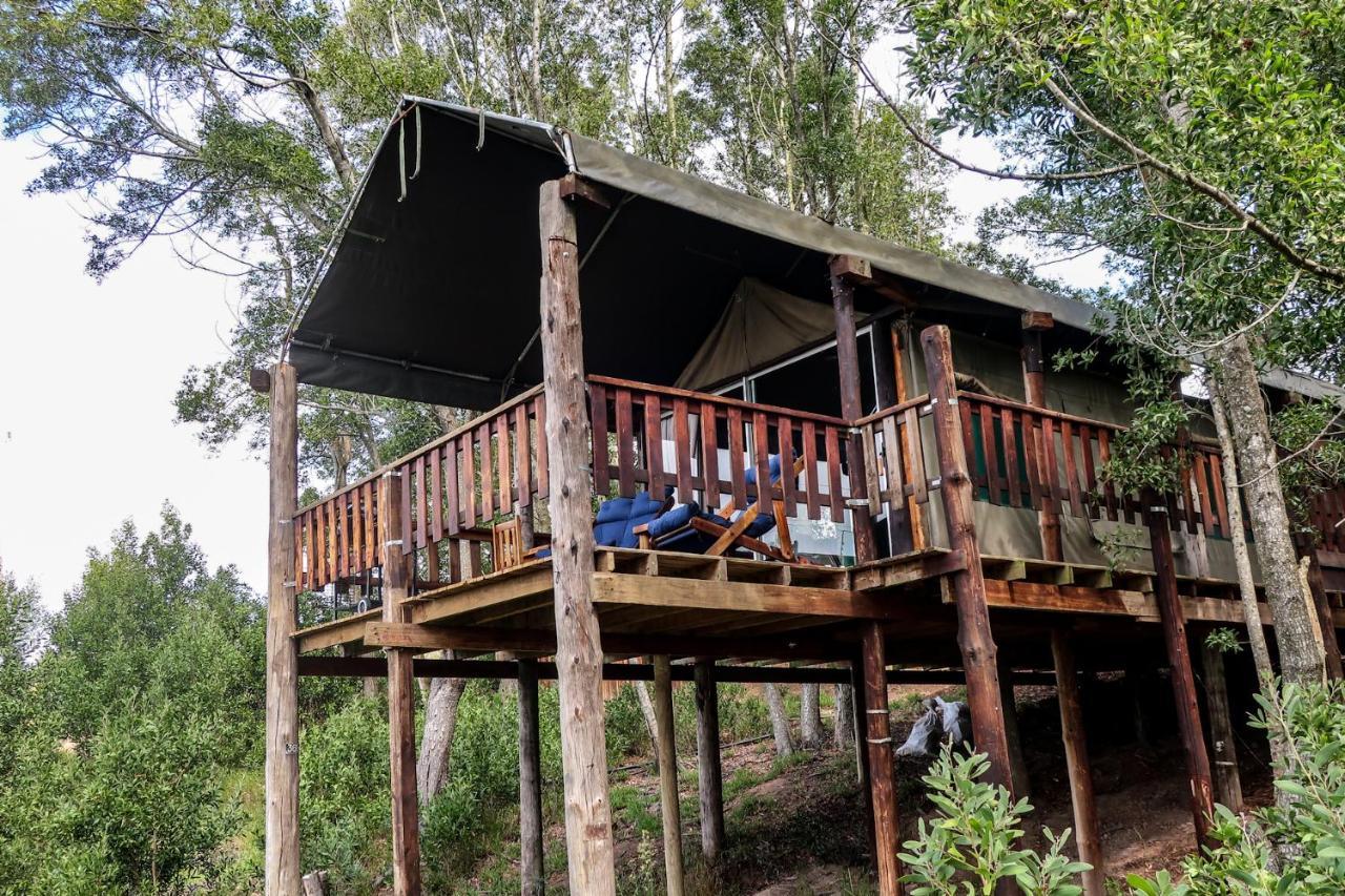 Fernhill Tented Treehouses Rheenendal ภายนอก รูปภาพ