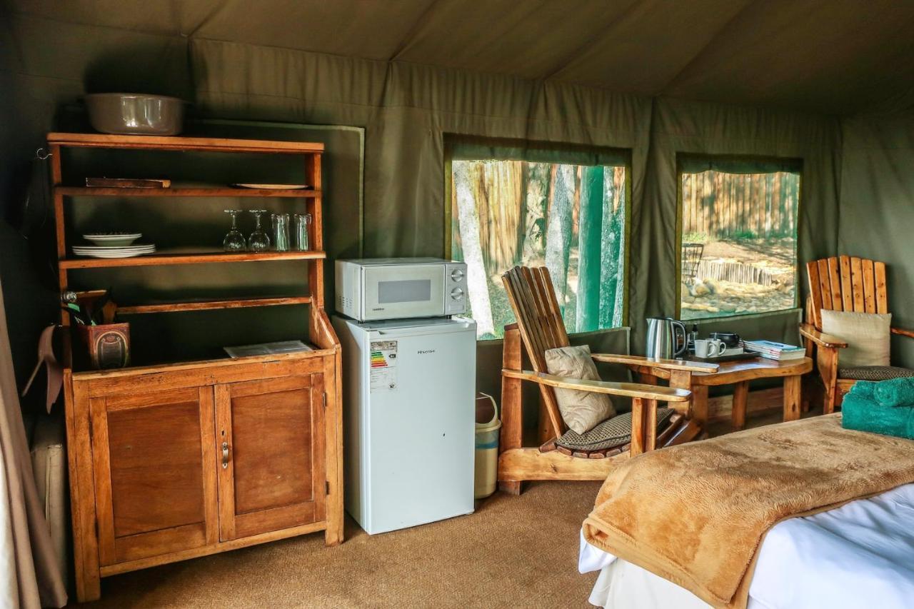Fernhill Tented Treehouses Rheenendal ภายนอก รูปภาพ