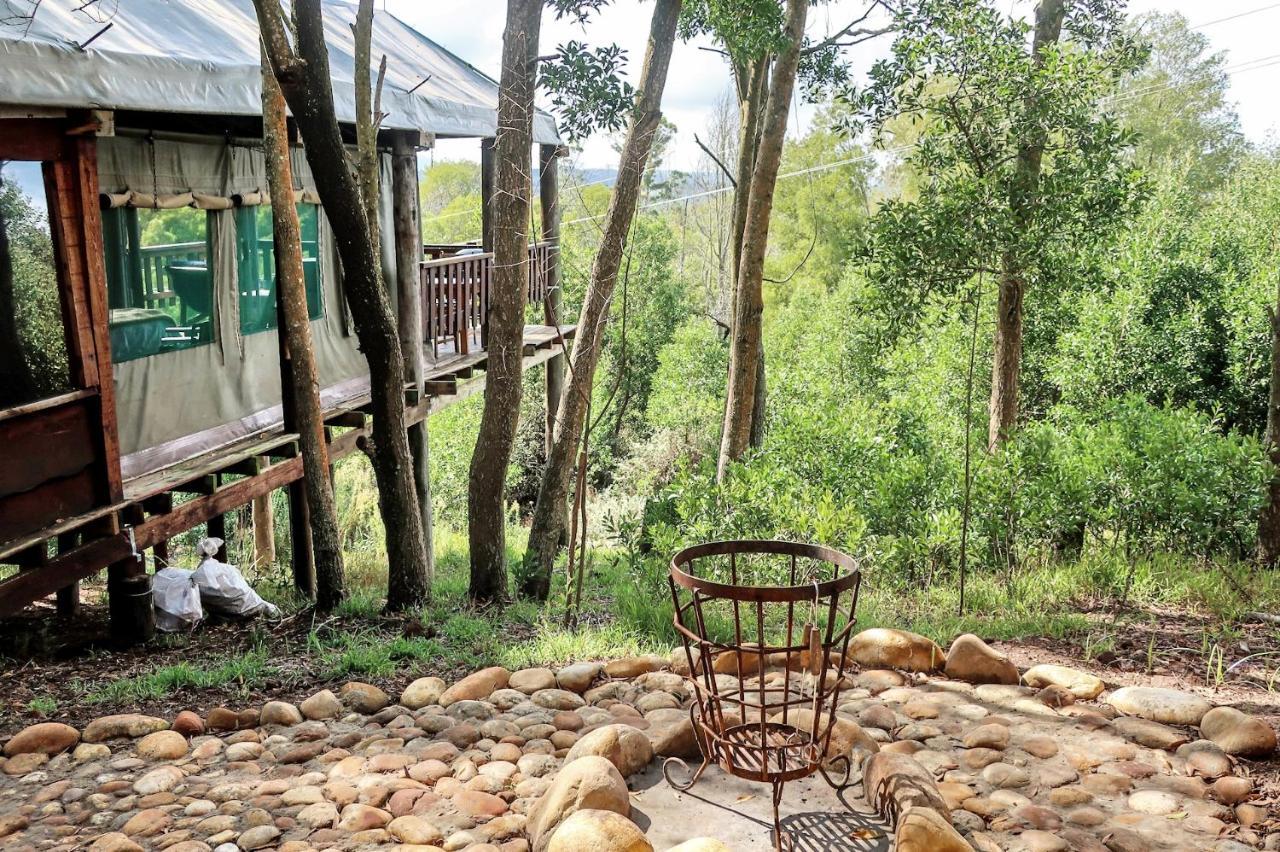Fernhill Tented Treehouses Rheenendal ภายนอก รูปภาพ