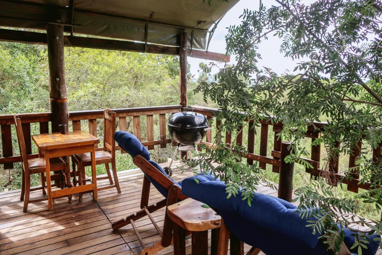 Fernhill Tented Treehouses Rheenendal ภายนอก รูปภาพ