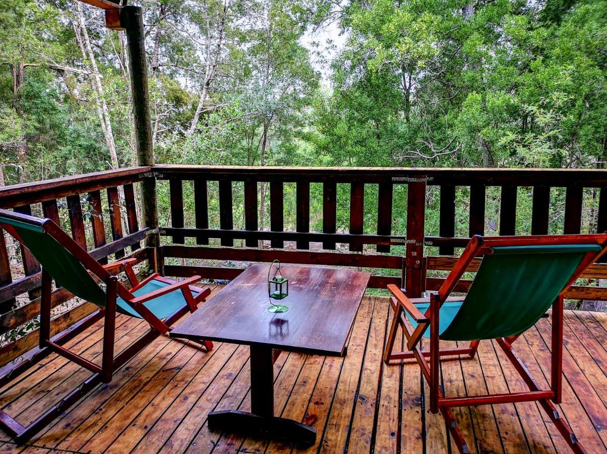 Fernhill Tented Treehouses Rheenendal ภายนอก รูปภาพ