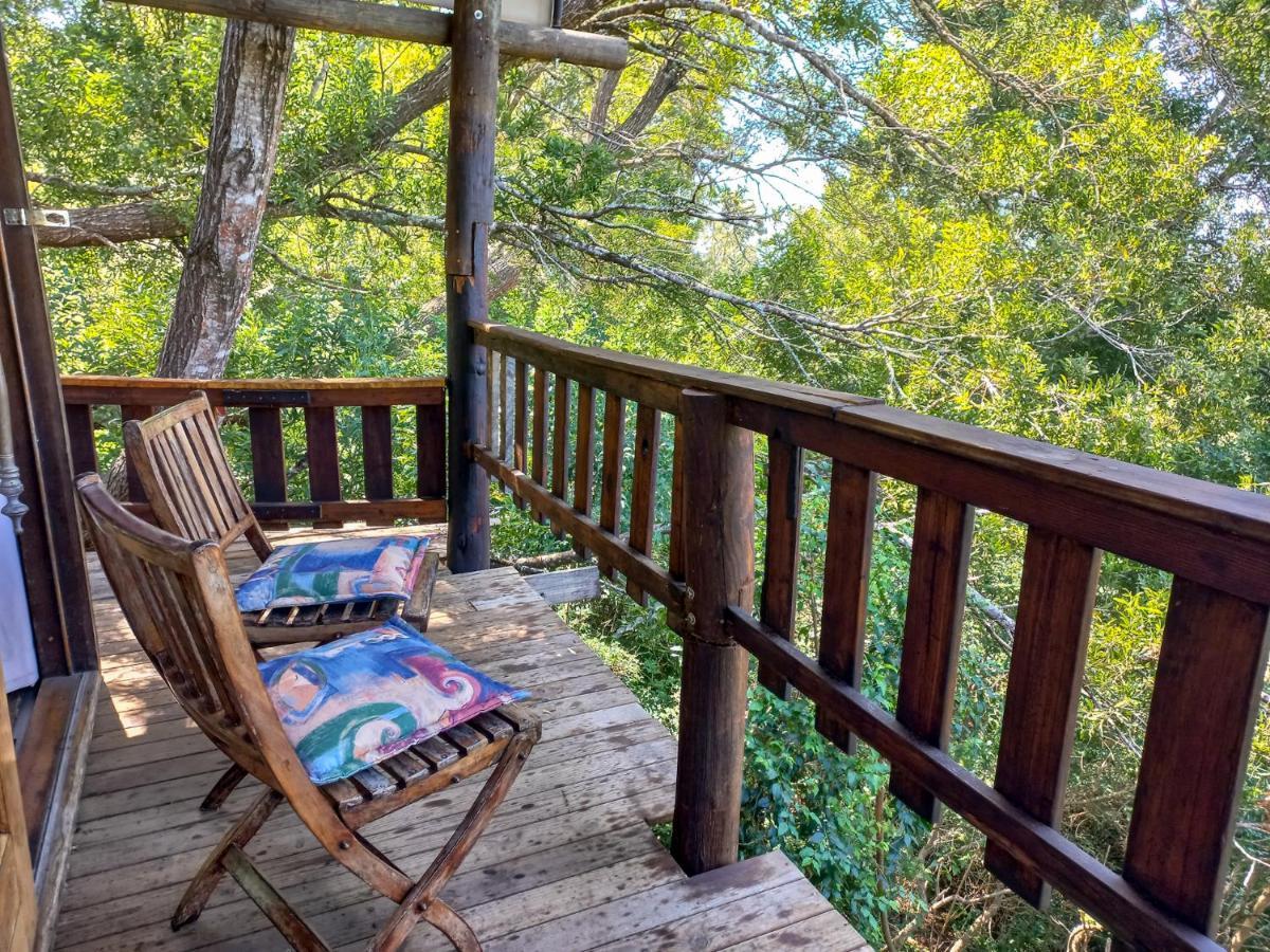 Fernhill Tented Treehouses Rheenendal ภายนอก รูปภาพ