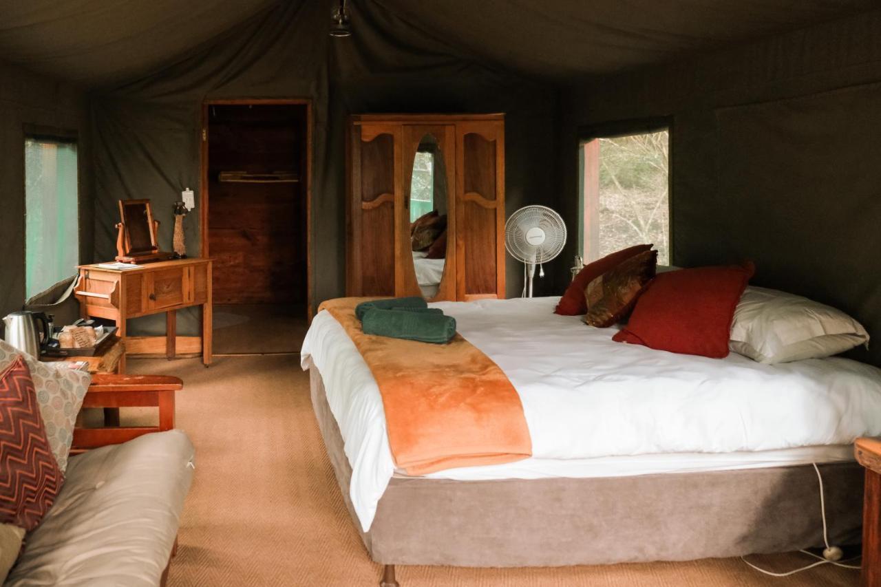 Fernhill Tented Treehouses Rheenendal ภายนอก รูปภาพ
