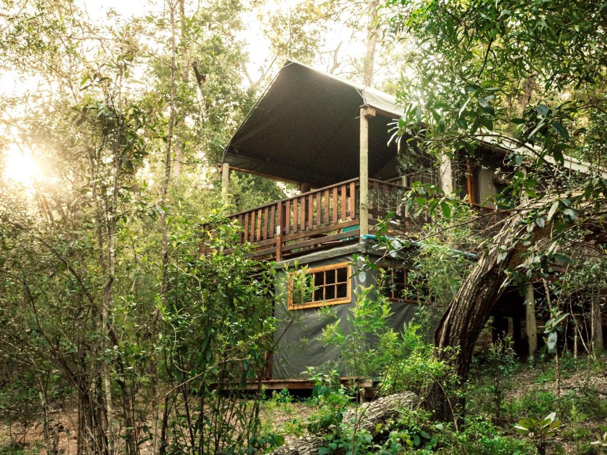 Fernhill Tented Treehouses Rheenendal ภายนอก รูปภาพ
