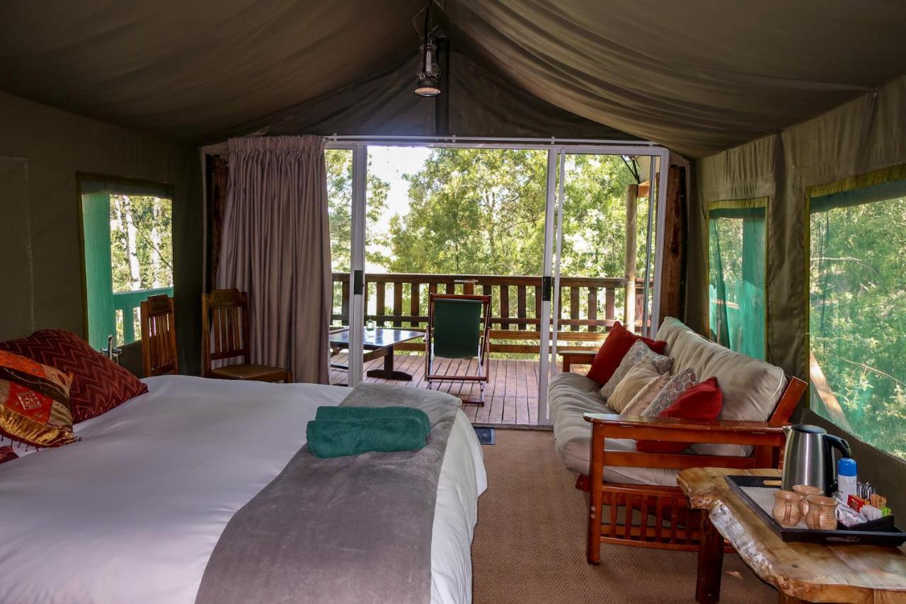 Fernhill Tented Treehouses Rheenendal ภายนอก รูปภาพ