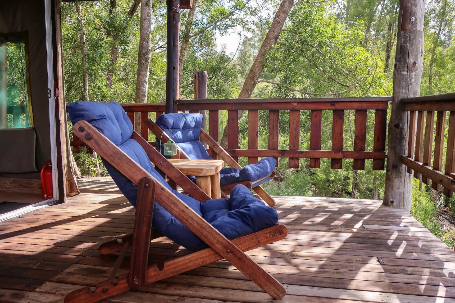 Fernhill Tented Treehouses Rheenendal ห้อง รูปภาพ