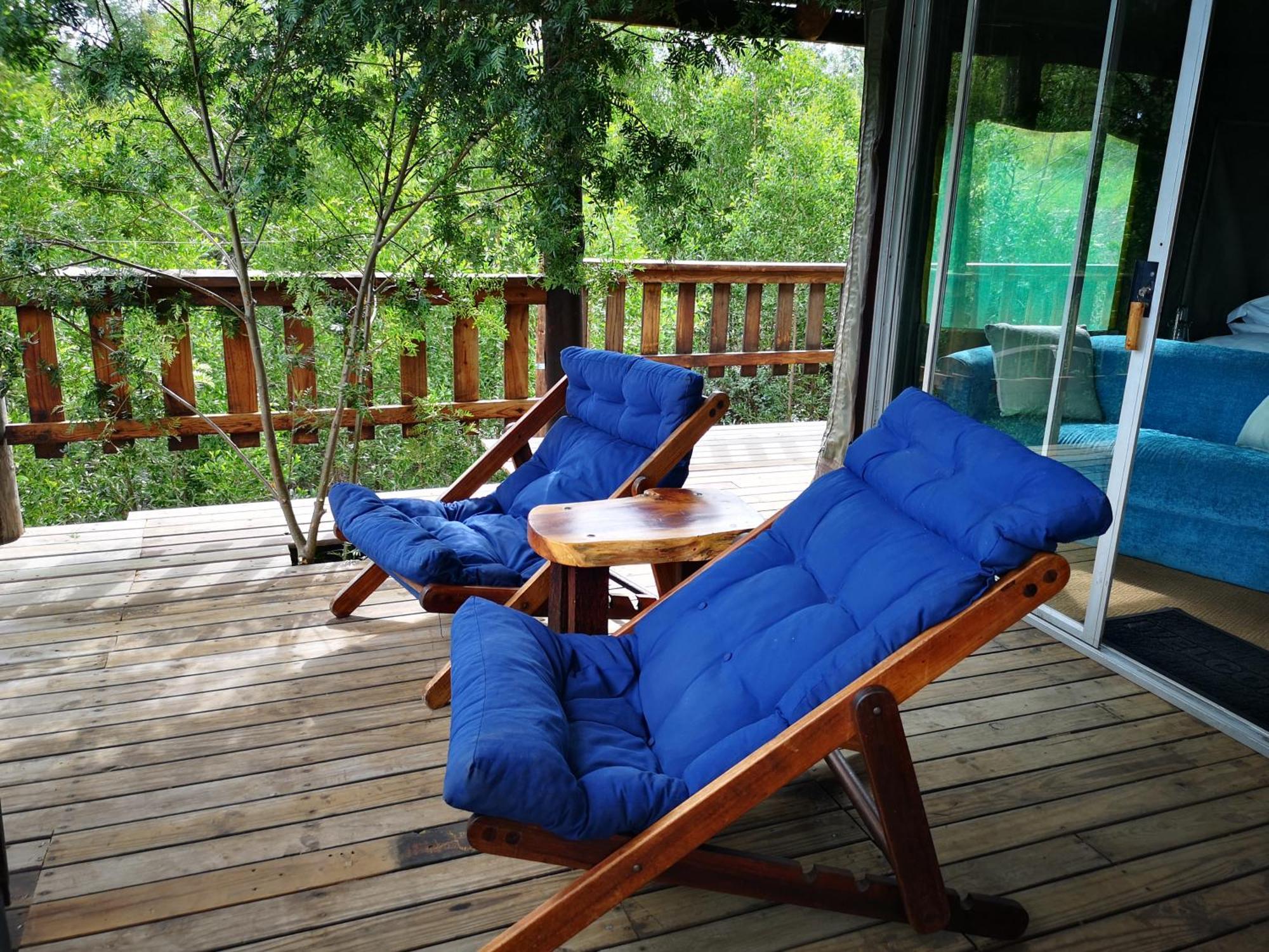 Fernhill Tented Treehouses Rheenendal ห้อง รูปภาพ
