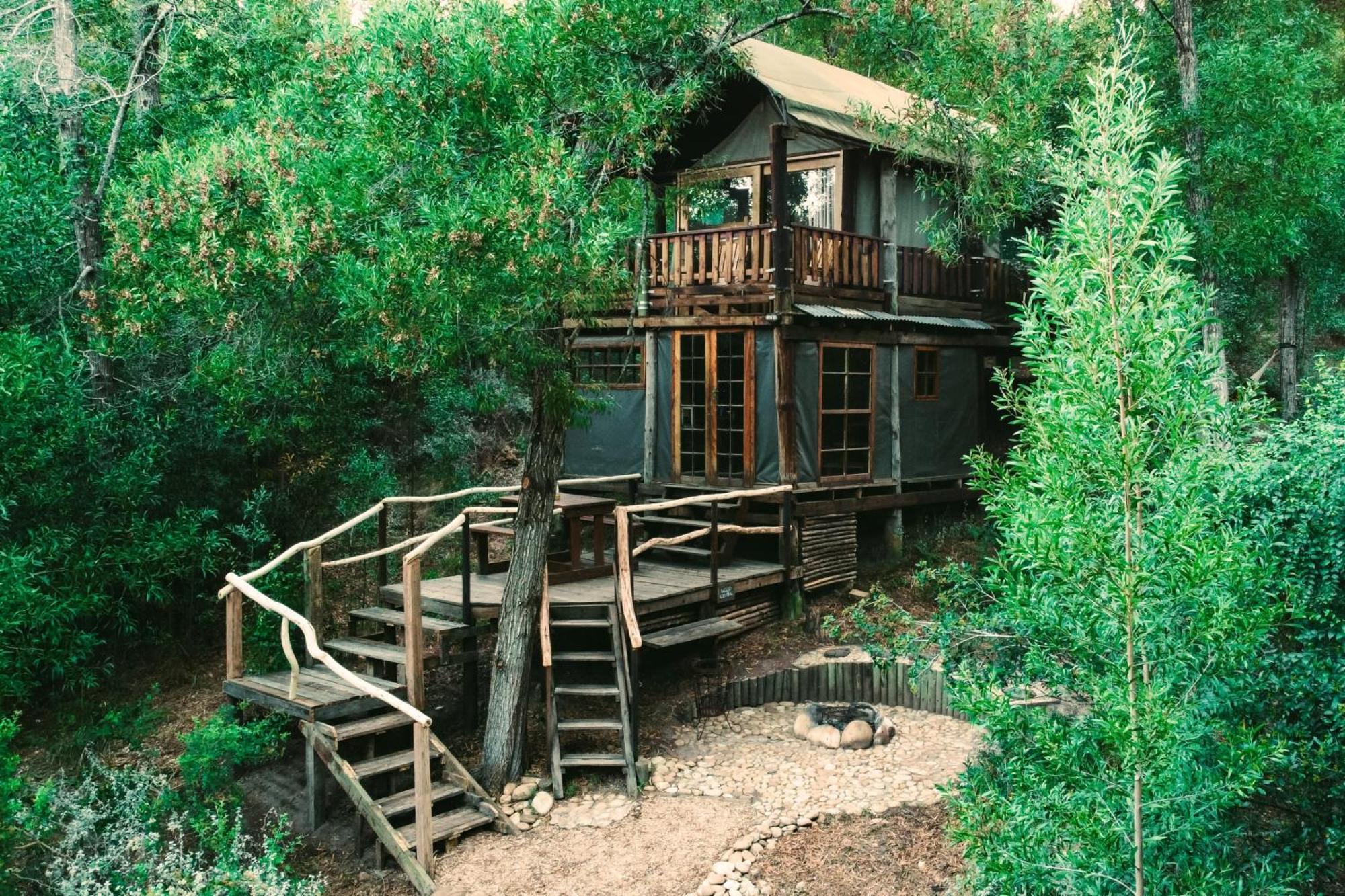 Fernhill Tented Treehouses Rheenendal ภายนอก รูปภาพ